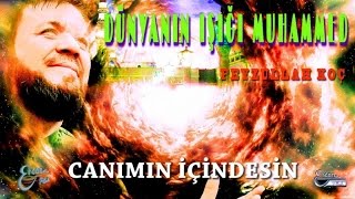 Feyzullah Koç - Canimin İçi̇ndesi̇n