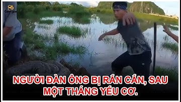 Người đàn ông bị rắn cắn, sau một tháng yếu cơ. #yhoc #snake #rắn #animals #kienthuc