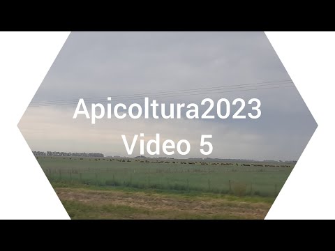 Apicoltura 2023, formazione  nuclei, metodo argentino
