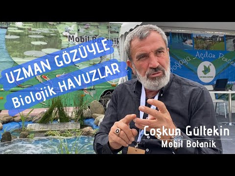 Video: Havuz Bakterileri: Balık Havuzlarını Yosun, Yeşillik Ve Silt, MACRO-ZYME, 