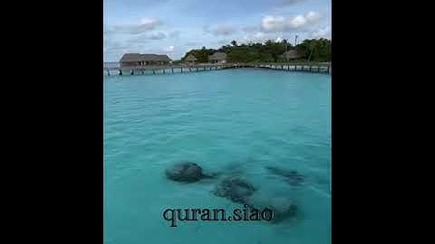 (إِنَّ اللَّهَ وَمَلَائِكَتَهُ يُصَلُّونَ عَلَى النَّبِيِّ ۚ ) القارئ وليد الشهري