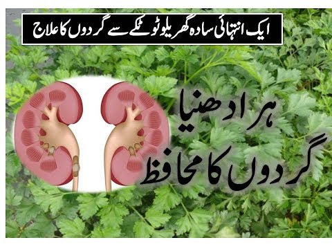 Health & Beauty ||Tips ||Channel for All|| گردوں کا محافظ ہرا دھنیا|| Kidney Protector