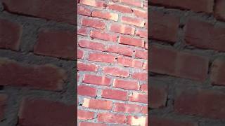brickwork #construction #heavycivil #house #home#civilxpress#civilengineering#kushvahaconstruction