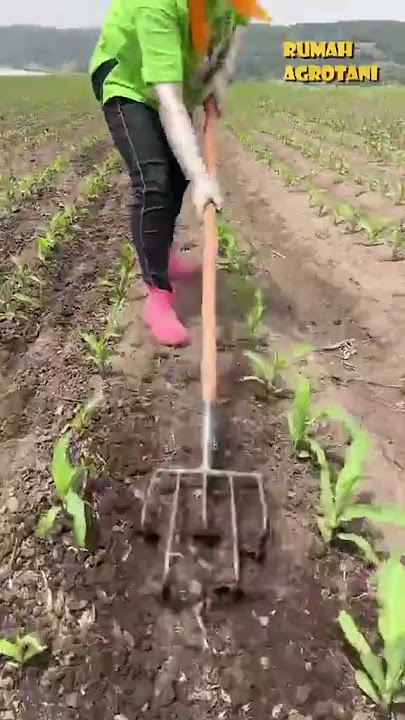 Alat ini Membantu Petani Memelihara Tanaman