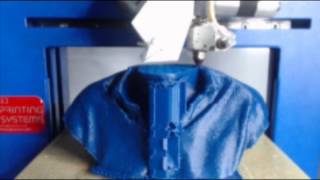 3D Printing Systems : Print of Leighton Smith from New Talk ZB