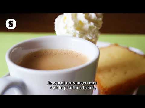 Wandelarrangement + 2-gangen keuzelunch bij De Reebok in Oisterwijk