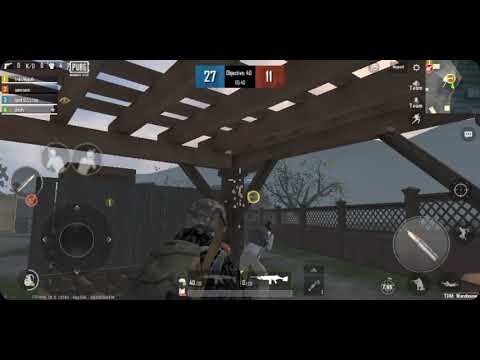 პაბჯი. ლაითი. ნიკა