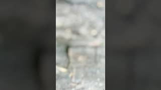 Bawaklah Sekutsedap Ke Bakal Mak Mertue Atau Bapa Mertua Memang Senyum Pah Linge Lah Diorang Nant
