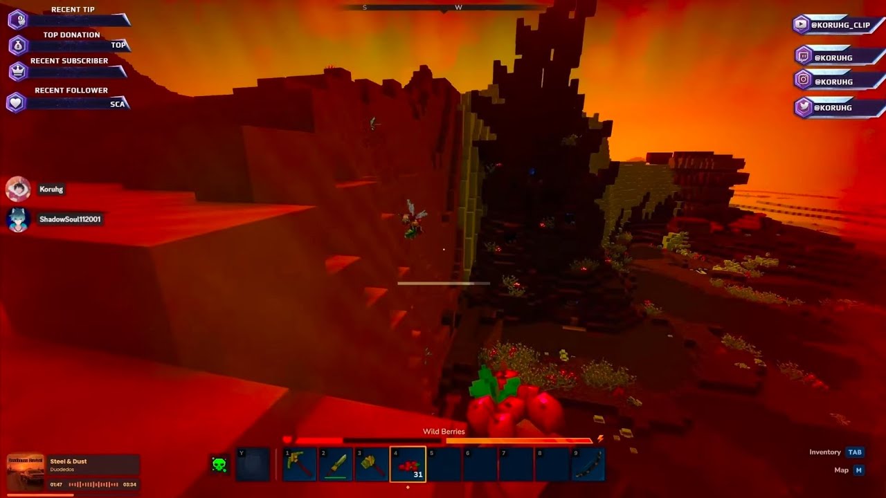 hytale #001