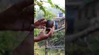 How To Make Coconut Cup ,Easy To Make -Diy#Shorts