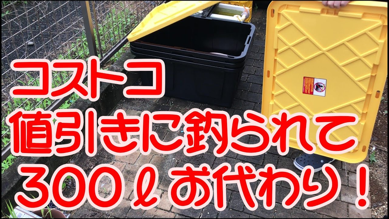 コストコ メダカ飼育 タライ 収納ボックス8個 黒容器 【公式通販】