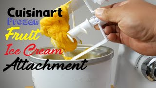 Cuisinart Stand Mixer Ice Cream Frozen Fruit Attachment