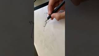 Fieldwork procedure