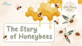 Science for Little Hearts & Hands: Honeybees | The Good and the Beautiful