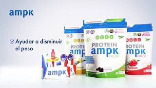 Ampk Protein