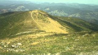 Curcubata Mare - Releul -