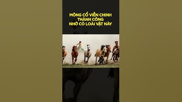 LOÀI VẬT GÓP CÔNG LỚN CHO NHỮNG CUỘC VIỄN CHINH !! #độngvậthoangdã #mongolia #animals