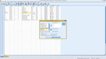 SPSS - Mann-Whitney-U Test (2 independent samples, ordinal)