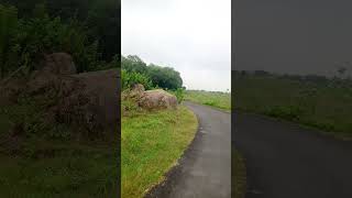 Cycling Adventure 🚴♂️ | Fitness, Freedom & Fun | Mk Study Vives