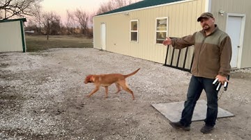 Ares Force Fetch Part 8 - New Location