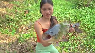Amazing Fishing | Pretty Girl Hunts A Strange Fish |Big Fish