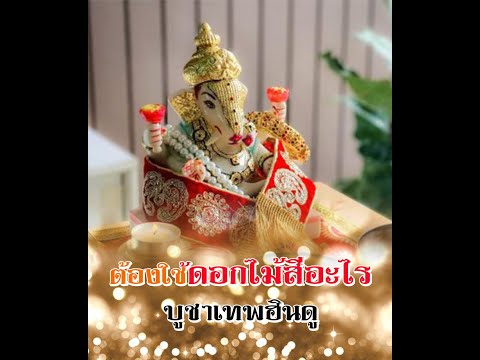 ห้ามบูชาพระพิฆเนศด้วยดอกไม้สีอะไร? | นกคชานัน เทวาลัย พระพิฆเนศ