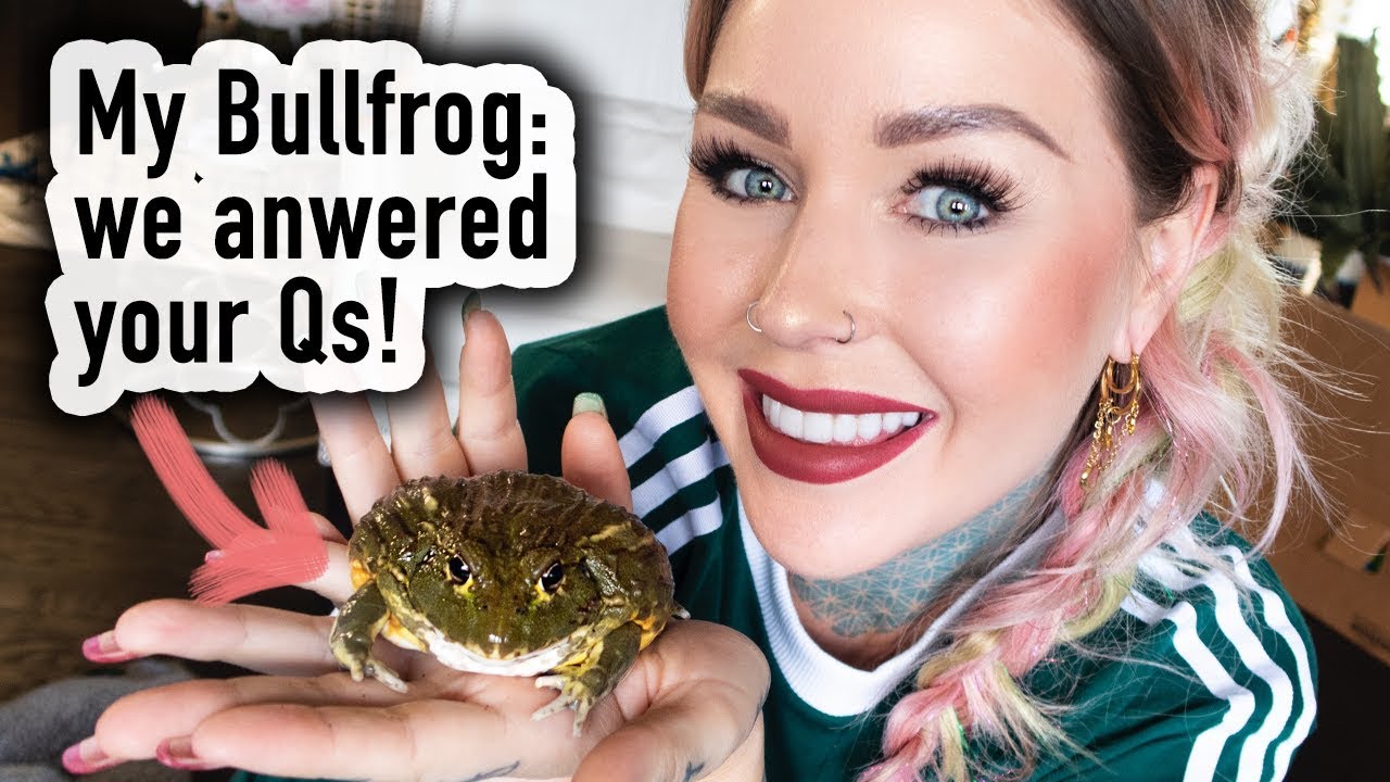 African Bullfrog Care  | KristenLeannimal