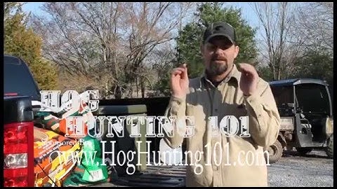 Hog Hunting Tips - Move Your Hunt To Where The Hogs Are!