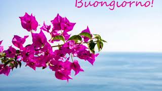 La vie est belle -  Buongiorno Principessa, Nicola Piovani, piano cover Valeria Franco