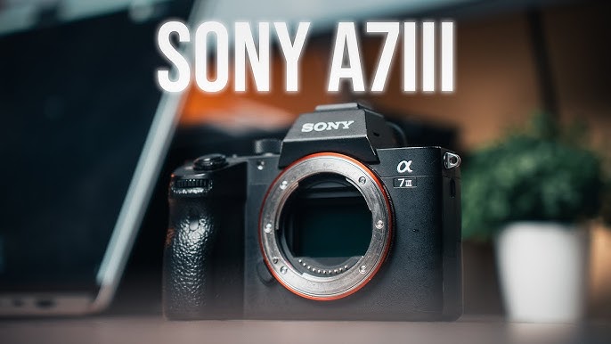 SONY - A7III BODY - Audiovisión 〡AUDIO - VIDEO - INSTRUMENTOS MUSICALES 〡