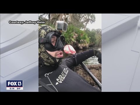 Gator attack caught by man's GoPro camera