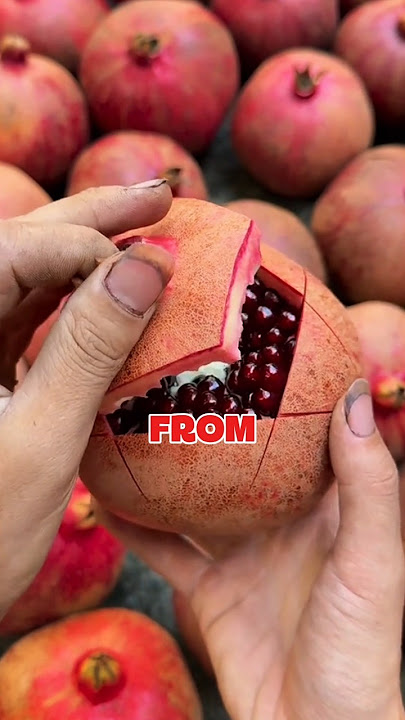 “Unbelievable & Natural! 70% of the World’s Pomegranates Come from These Villages”