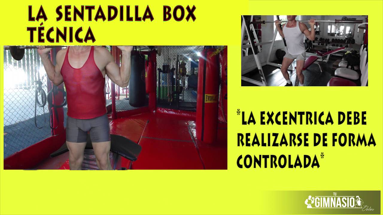 SENTADILLA BOX- Técnica batidos de proteinas antes o despues de entrenar