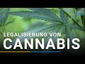 Cannabis: Wie steht es um die Legalisierung in Deutschland?