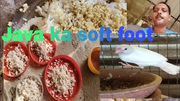 Java mixed seeds| Java sof food|Java|zunair birds