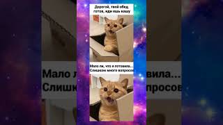 мемы #mem #meme #tiktok #мем #мемы #прикол #рек #рекомендации #смешно #memes