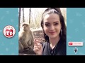 Funny Monkey With Girl... Funny Monkey Videos 2019