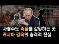 죽음을 애원하게 만든다–러시아 올빼미 감옥과 푸틴식 공포 통치