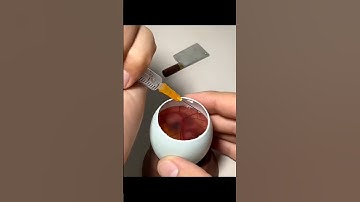 How a Chick 🐣 Artificially born from an Egg || Embryo Development