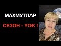 Махмутлар❗️СЕЗОН - YOK❗️❗️❗️😷😷😷