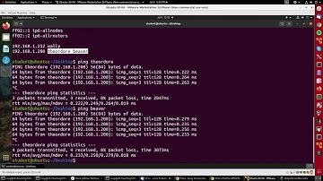 Using Domain Name System (DNS) and Name Resolution Tools