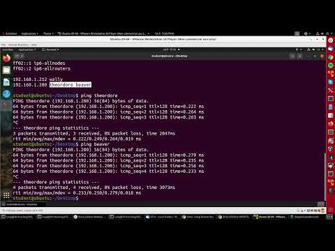 Using Domain Name