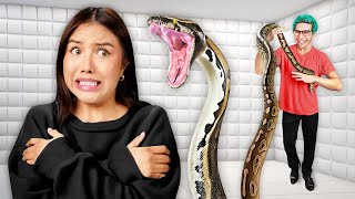 Try Not To Move Vs. Snakes, Spiders, and Lizards