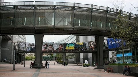 Migrant advocacy in Brussels and European Parliament members with migrant backgrounds