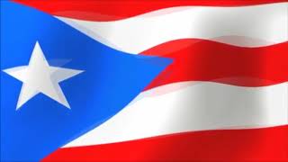 MFP Puerto Rico Flag 3 Hrs Long screenshot 4