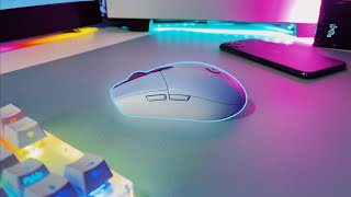 Logitech G305 Lightspeed Wireless Gaming Mouse 6 Month Review