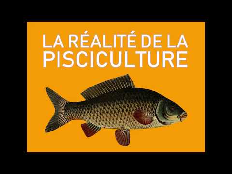 Vidéo: Différence Entre L'aquaculture Et La Pisciculture