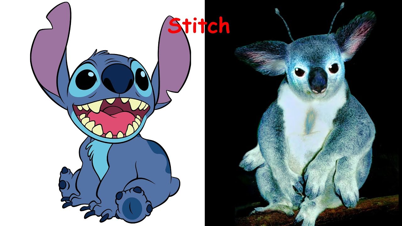 Lilo And Stitch Characters In Real Life
