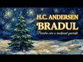 A descoperit prea târziu că fusese fericit 🌲✨ | Bradul – H.C. Andersen