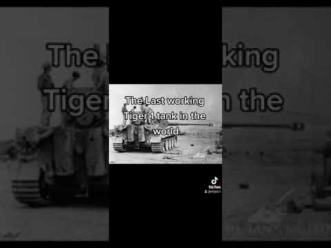 the last Tiger
